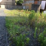 ひたちなか市平磯町売地！駐車場用地に最適！美乃浜学園学区！