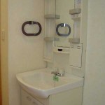 シャワードレッサー付き